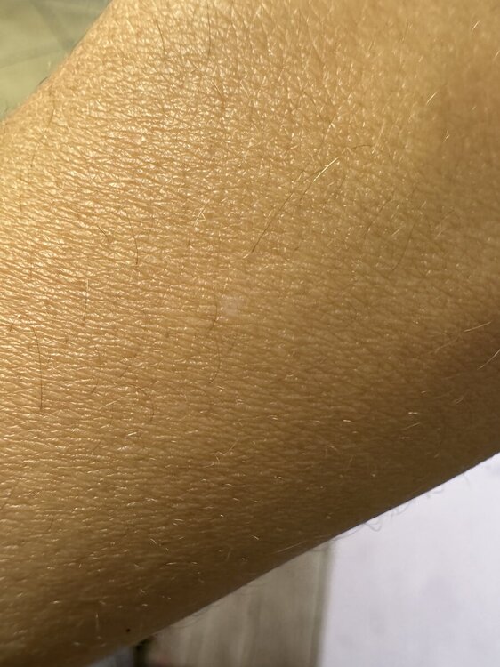 IMG_0591.thumb.jpeg.5d9f1358ba23251c132ff9f07b3d0123.jpeg
