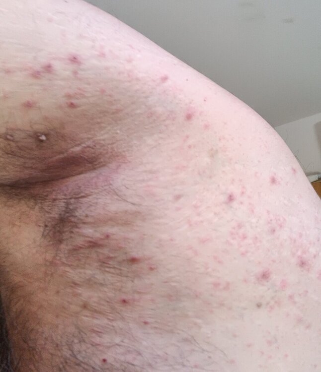 IMG_20241007_140134.jpg