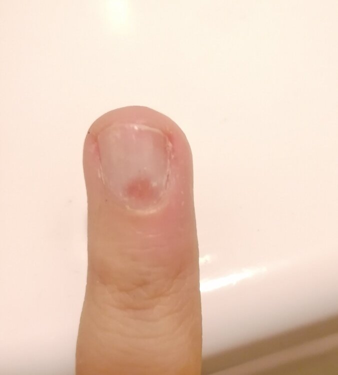 IMG_20241015_154339.jpg