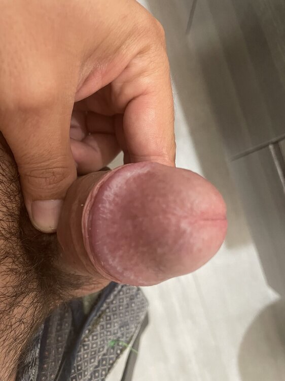 IMG_2331.jpeg