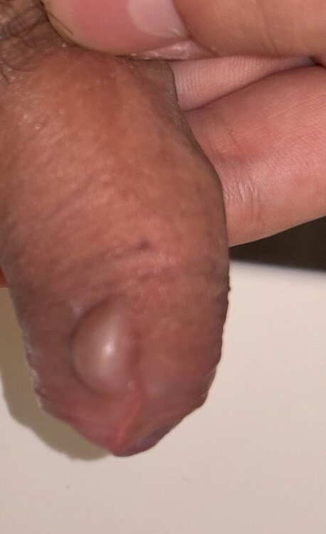 IMG_4630.jpeg