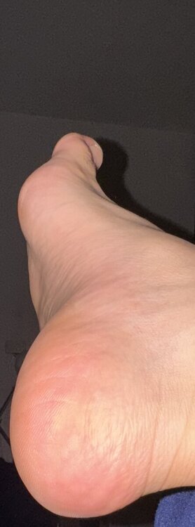 IMG_6185.thumb.jpeg.0ad1bfbcd052a993e136e3e174ee5050.jpeg