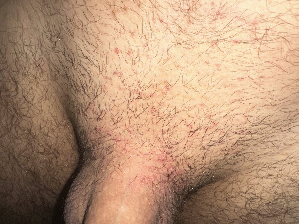 IMG_7046.jpeg