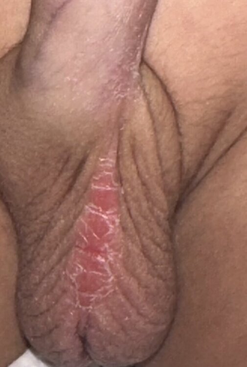 IMG_8041.jpeg