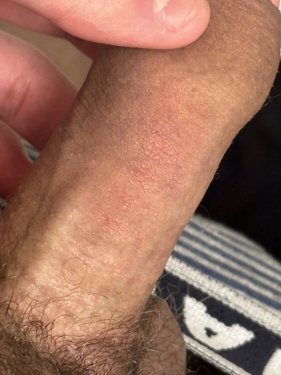 IMG_8538.thumb.jpeg.9c87fc71dc27fa342f5bd4eb43a1203a.jpeg