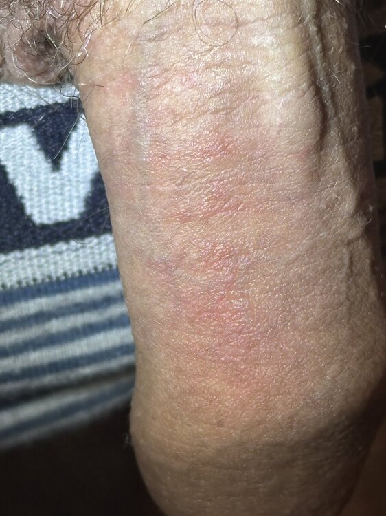 IMG_8539.thumb.jpeg.01967800f8b1ede03d66fba67c4f8f39.jpeg