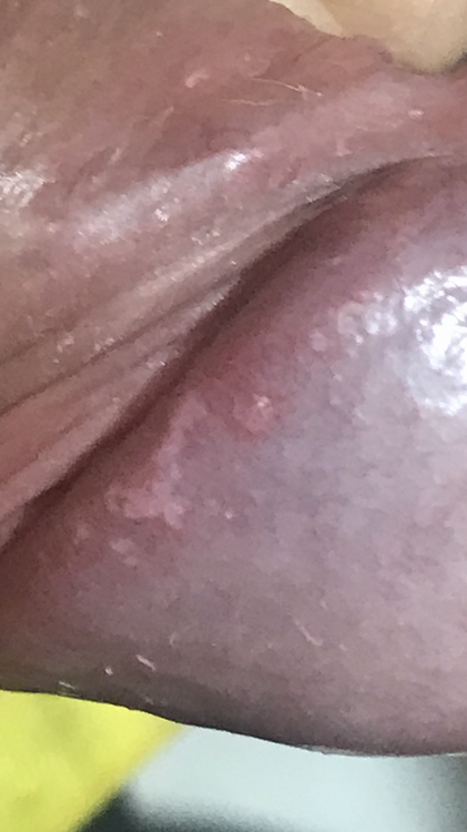10A11A95-B09E-45FE-889F-1A3D25DA5950.thumb.png.8f2b6e1a2ccb7922e09b35f862fb66f0.png