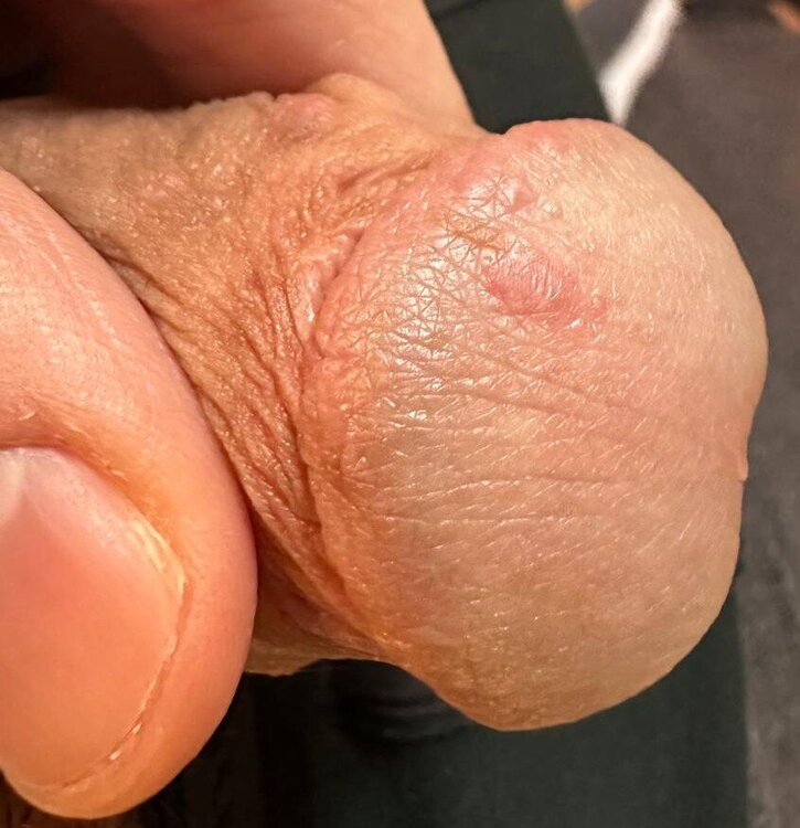 Immagine WhatsApp 2024-11-23 ore 12.17.47_18b7a137.jpg