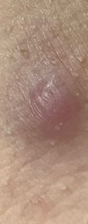 WhatsApp Image 2024-11-25 at 09.20.49.jpeg