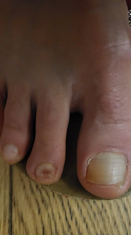 1730583957329431548220267351482.thumb.jpg.6e823dbf20f866f0798e02e596f38a09.jpg