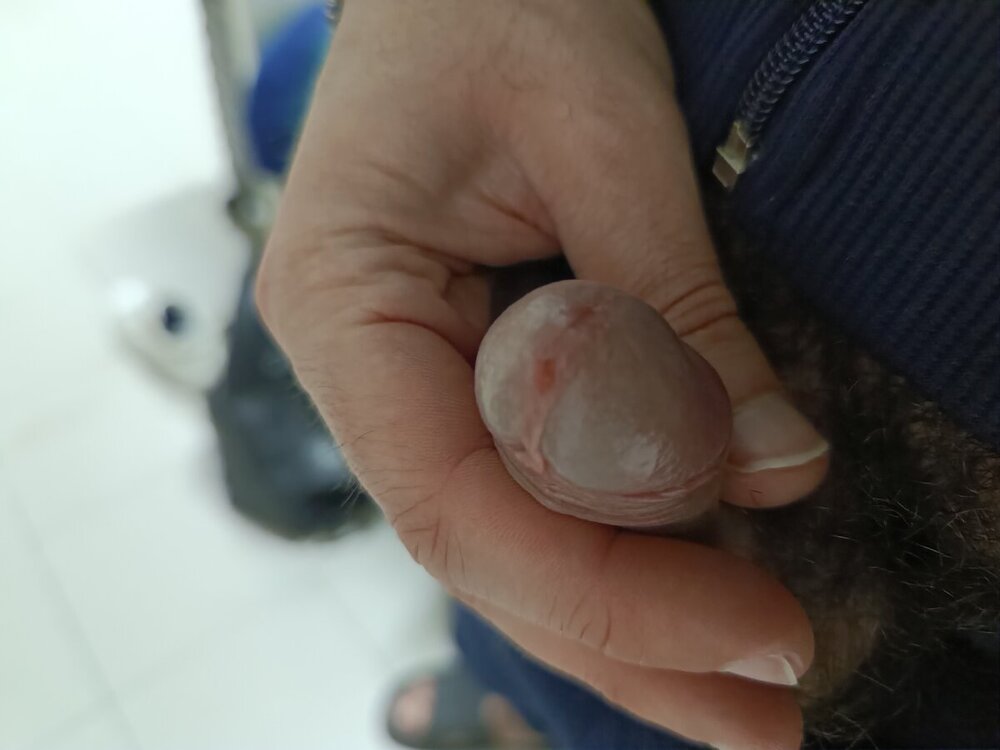 17326570342281611739363094324835.thumb.jpg.dd8a3f98a9a19de51bdb5096314b8a14.jpg