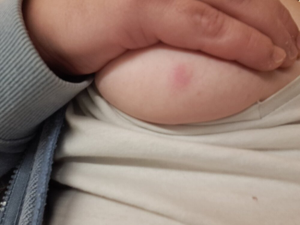 20241030_182131.jpg