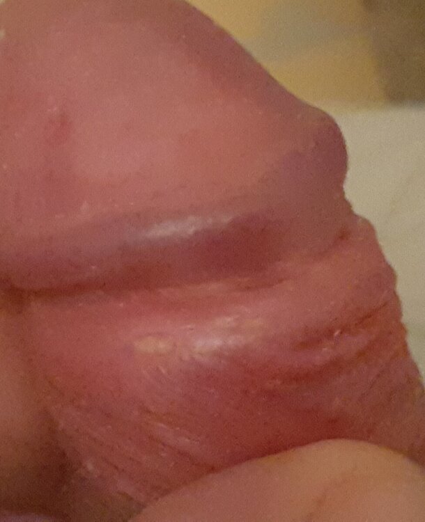 20241102_232734.jpg