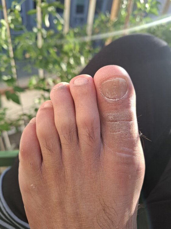 20241103_160346.jpg