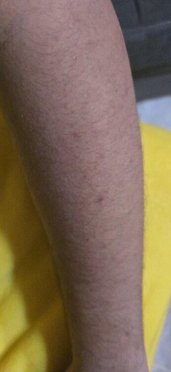 20241105_033942.thumb.jpg.9ea52dcffdc72406f399f2ac7745f5c1.jpg