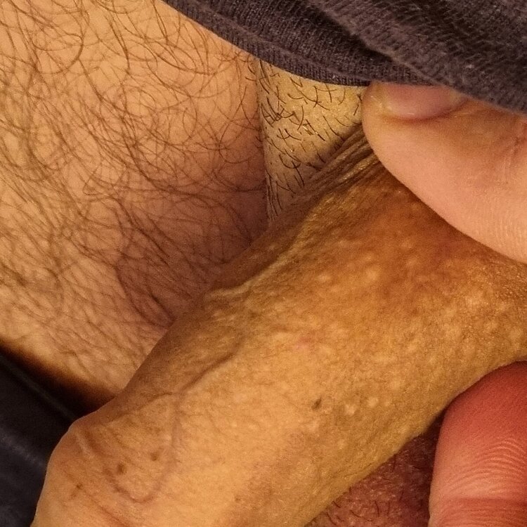 20241108_162107.jpg