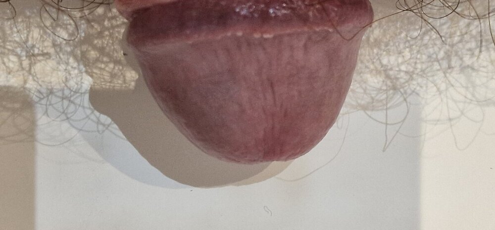 20241111_211838.jpg