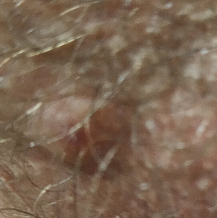 20241113_225357.jpg