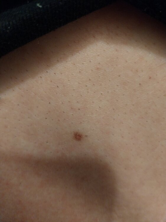 20241114_185946foto.jpg