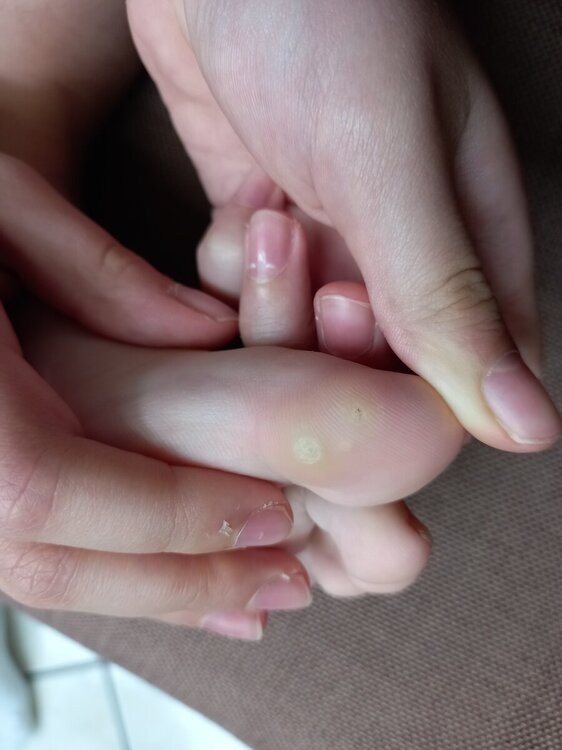 20241119_185816.thumb.jpg.76dc62e14b6e8366c363248d07b75968.jpg