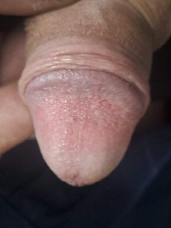 20241124_143725.jpg