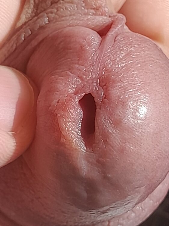 20241125_120918.jpg