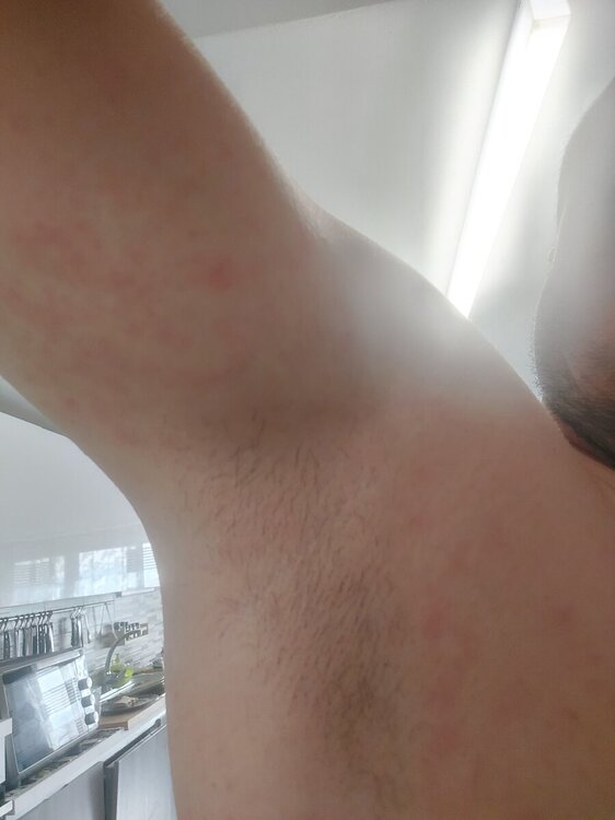 20241126_122033.jpg