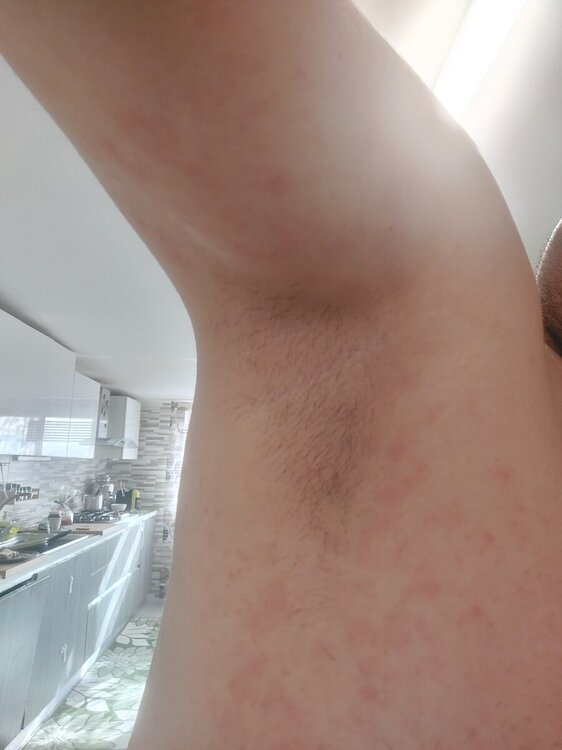 20241126_122417.jpg
