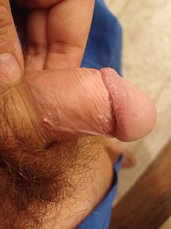 20241126_222052.jpg