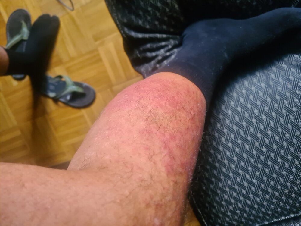 20241127_101835.jpg