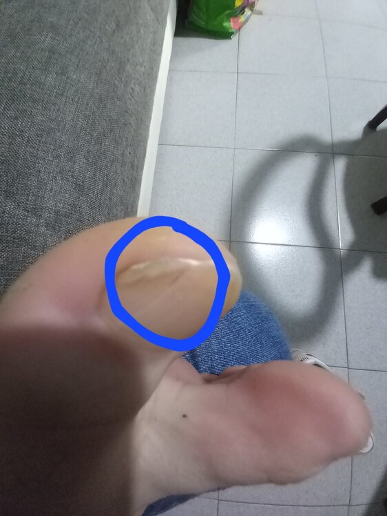 20241128_114349.jpg