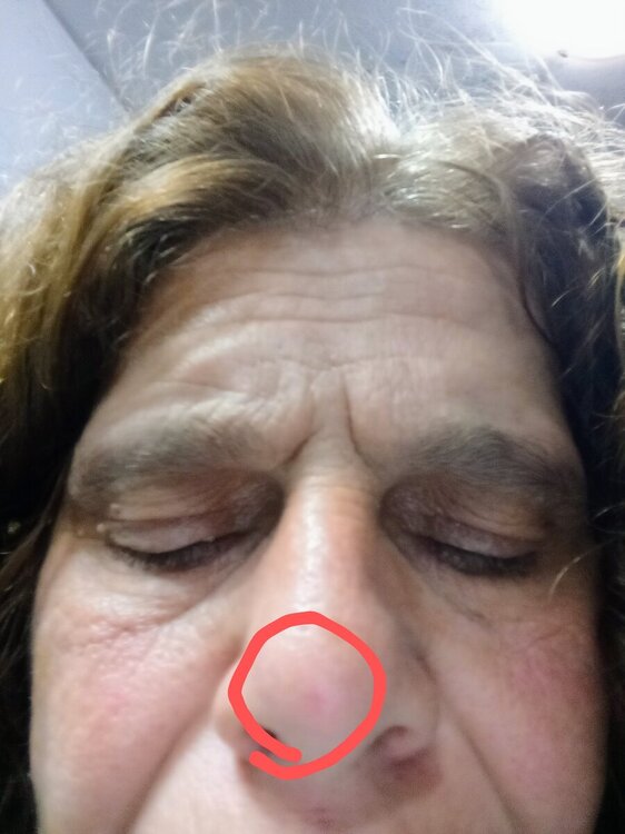 2099205238_IMG_20241112_1904412.thumb.jpg.43393c556ea20f7e389283a462a70981.jpg