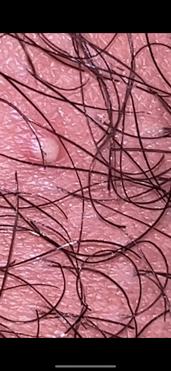 3BD3FD16-1CA9-4F9E-8275-53E2804EE1C8.png
