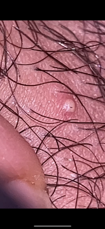 607D552E-1BC0-4597-A4BC-8EE2D02D9486.png