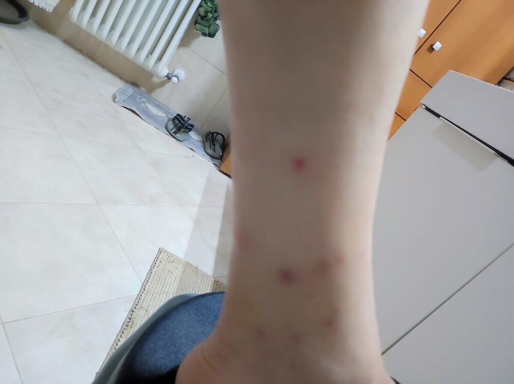 WhatsApp Image 2024-11-20 at 22.26.57(2).jpeg