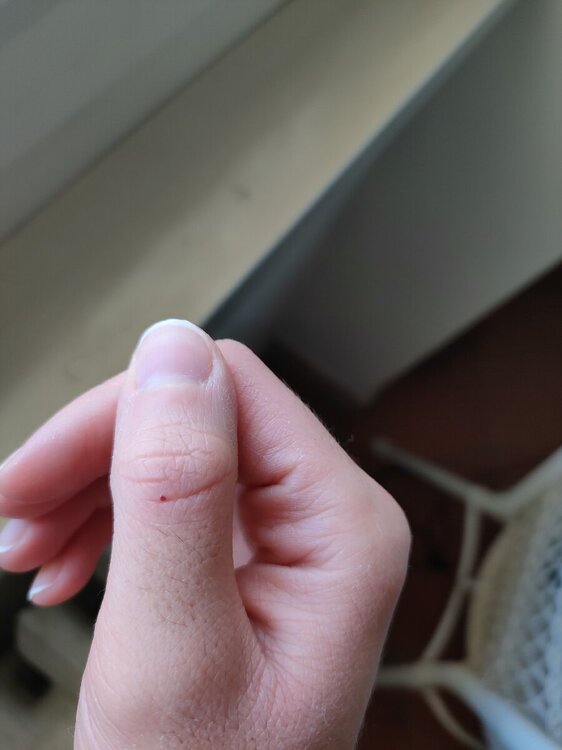 IMG20241117104117.jpg