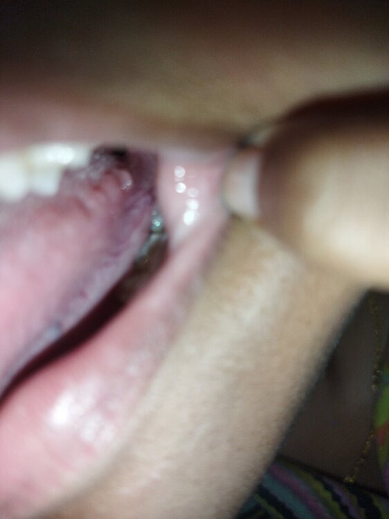 IMG_20241105_232620.jpg