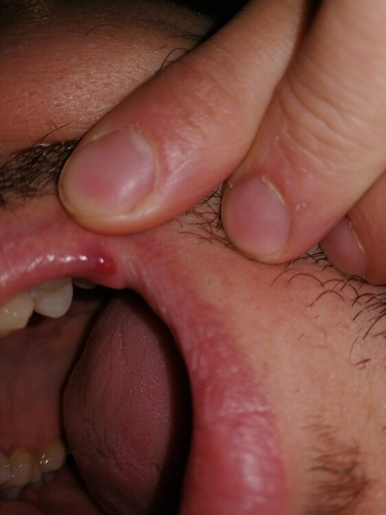 IMG_20241121_181414.jpg