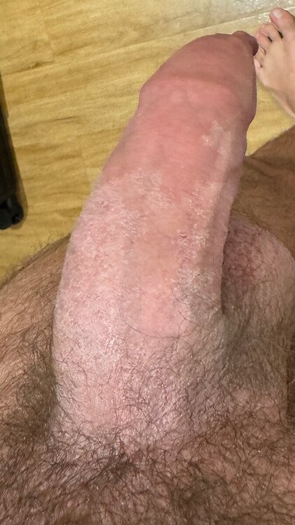 IMG_2905.jpeg
