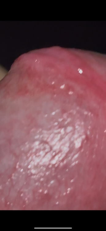 IMG_4063.thumb.png.5195d065aaab934eda09d71e8fab4a8b.png
