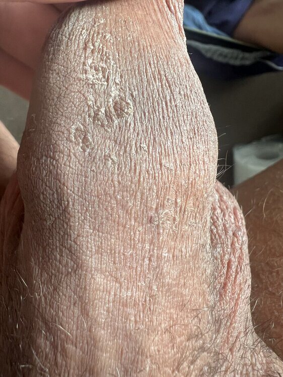 IMG_4296.jpeg