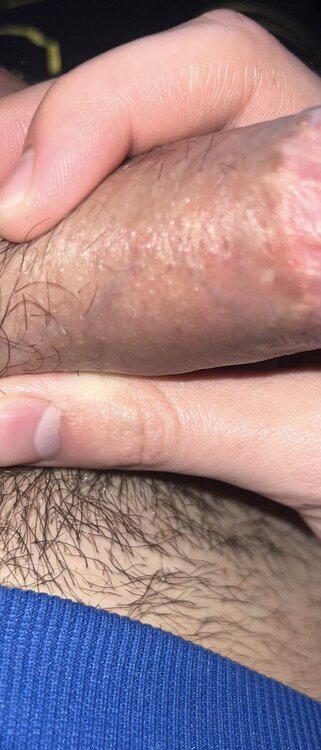 IMG_7681.jpeg