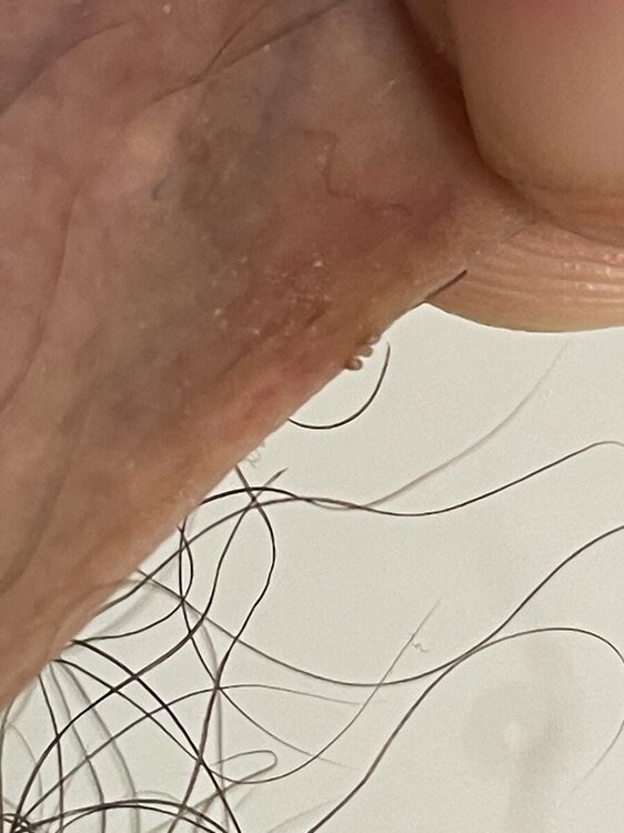 IMG_8893.jpeg