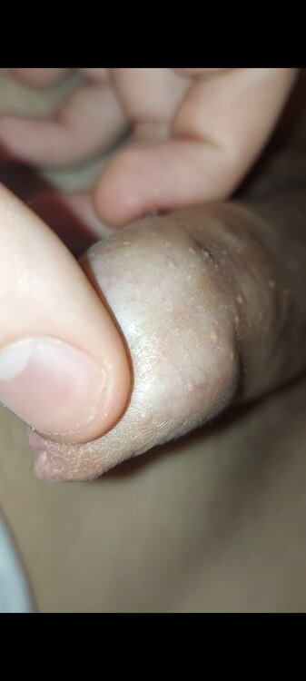 Screenshot_20241120_105740_Gallery.thumb.jpg.52e8e8609535925632d5080583c042f4.jpg