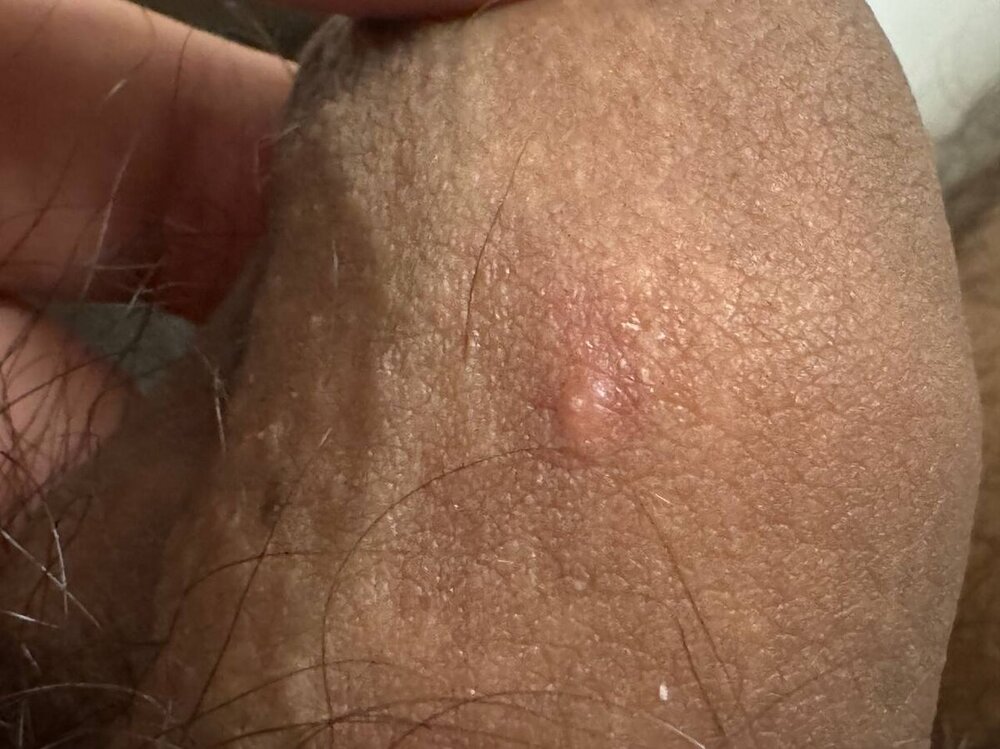 a11fa9de-73f4-4d0e-8f7c-fec43437f3cc.jpg