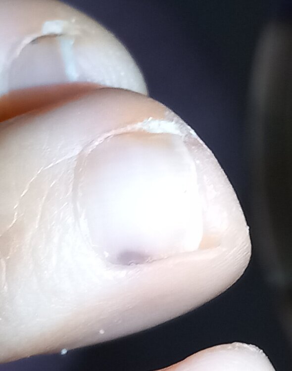 20241202_121558.jpg
