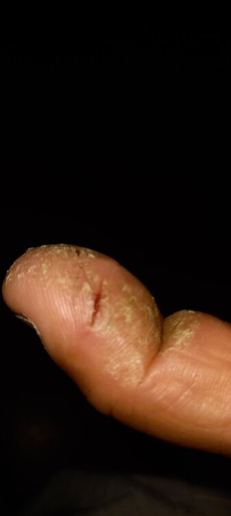 20241203_201010.jpg