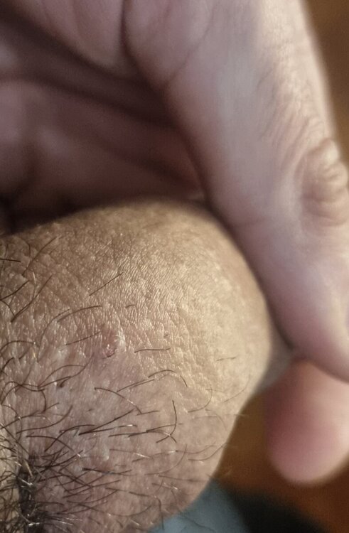 20241205_055551.jpg