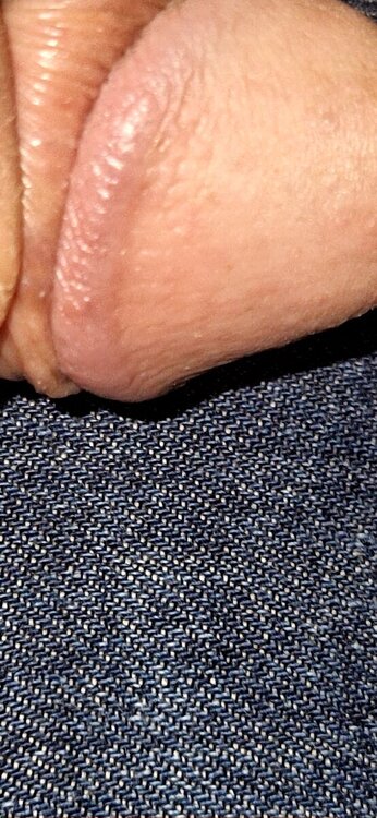 20241208_180905.thumb.jpg.041a58f82e0fbe61820d43b6d02d14f6.jpg