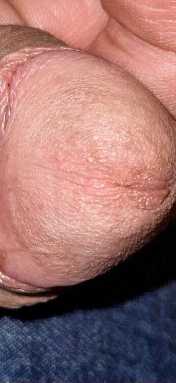 20241208_181136.jpg